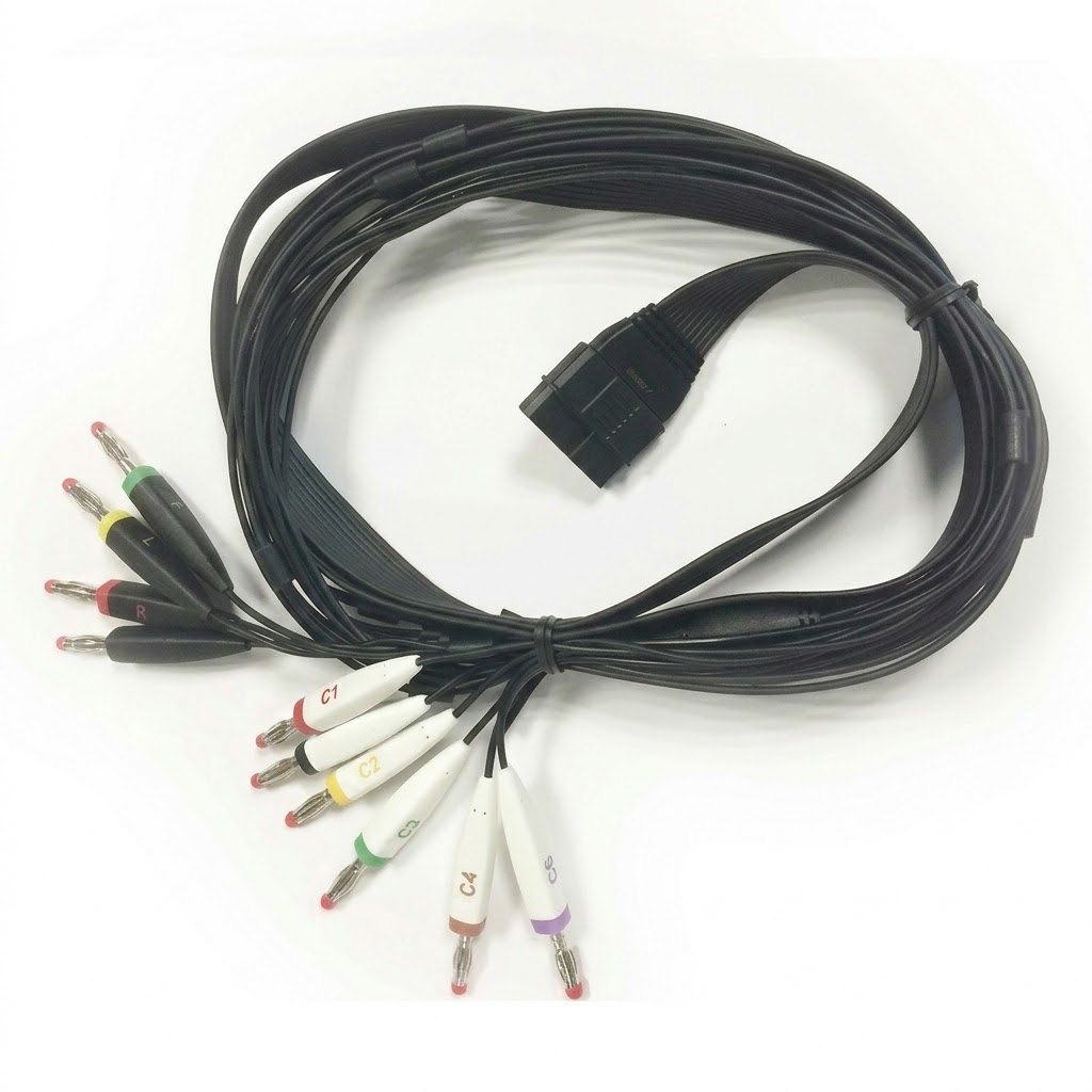 CAVO ECG 10 TERMINALI BANANA PLUG IEC 2,1M - SCHILLER